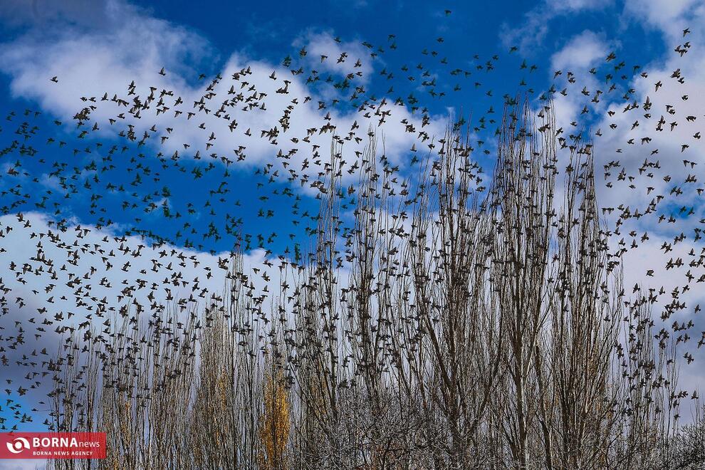 چشم‌نوازی پاییز در روستای تاریخی ابیانه