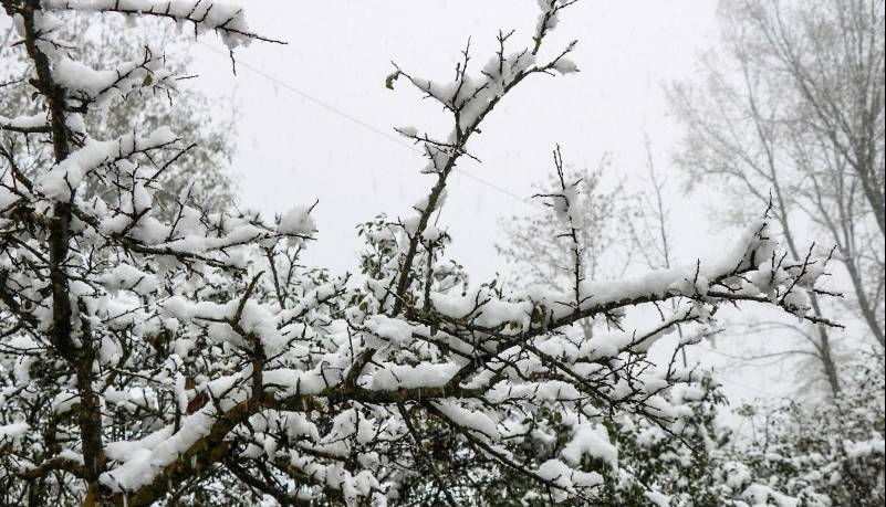 بارش برف از جمعه البرز را فرا می‌گیرد