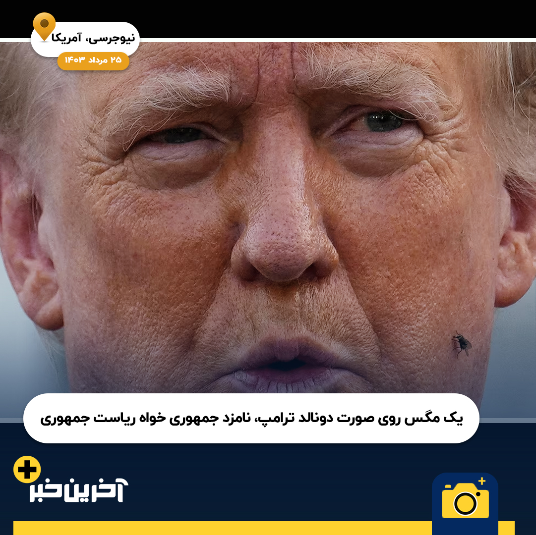 عکس/ پُربازدیدترین تصاویر 2024 اینستاگرام رویترز