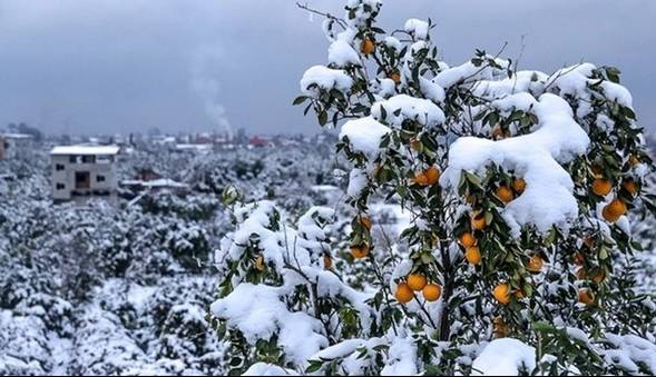 دمای هوا در همدان به ۱۵- درجه می‌رسد!