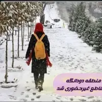 مدارس دودانگه روز شنبه غیرحضوری شد