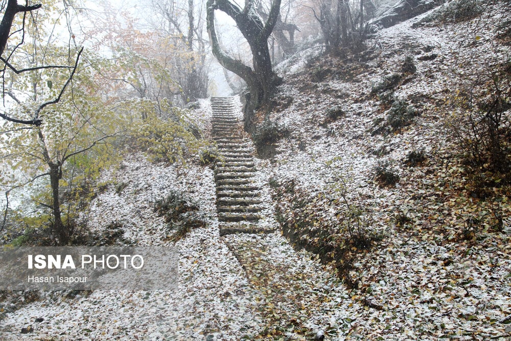 عکس/ بارش برف در شهرستان سوادکوه