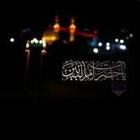 استوری/ امشب برای رفتن کربلا دلم تنها دخیل مادر عباس می‌شود