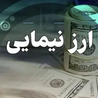 تکذیب دلار توافقی ۶۵هزارتومانی؛ نرخ هنوز مشخص نشده است