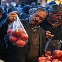 پیش‌بینی ثبات قیمت‌ها در بازار میوه شب یلدا