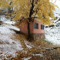 عکس/ بارش برف در شهرستان سوادکوه