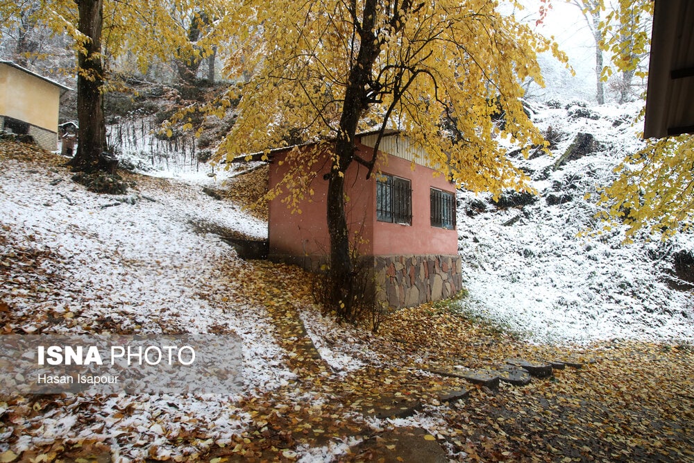 عکس/ بارش برف در شهرستان سوادکوه