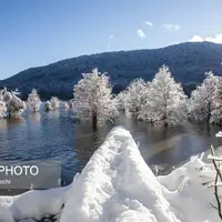 طبیعت زیبای برفی دریاچه الندان ساری