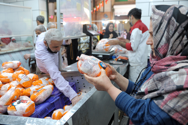 شگرد جدید گرانفروشی مرغ لو رفت