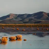 مدیرکل محیط‌زیست: برخی تالاب‌های آذربایجان غربی در وضعیت کاملا خشک قرار گرفته‌اند