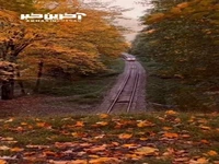 مسیر ریلیِ زیبای شیرگاه مازندران