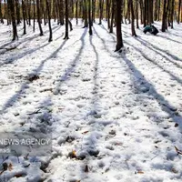 بارش برف استان زنجان را فرا می‌گیرد