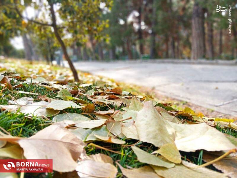 پاییز در بوستان ساعی تهران