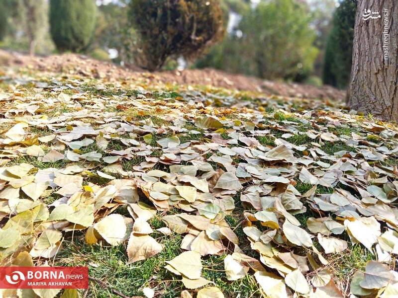 پاییز در بوستان ساعی تهران