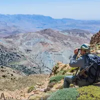 سرشماری حیات وحش لرستان با حضور ۲۹ تیم محیط بانی