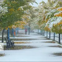 کهگیلویه و بویراحمد بارانی می‌شود