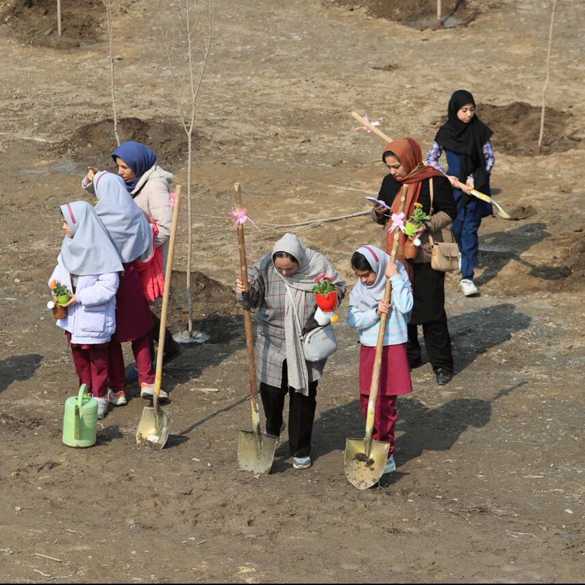 پویش درختکاری «در سایه مادر» در کردستان برگزار می‌شود