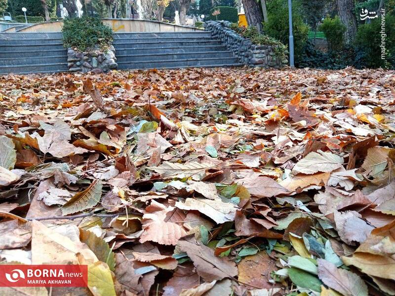 پاییز در بوستان ساعی تهران