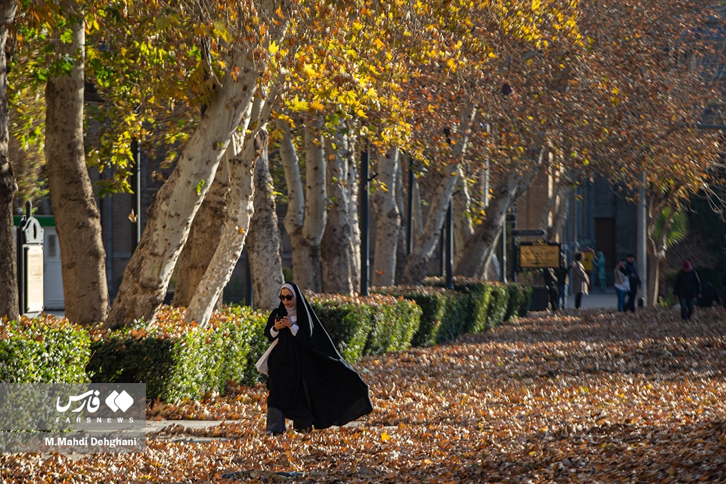 عکس/ چهارمین رویداد «پاییز- برگ» در تهران