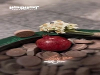 زیارت دلنشین امام رضا (ع) در شب یلدا