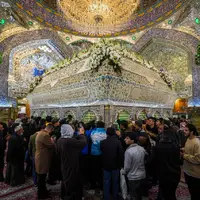 عکس/ گل‌آرایی حرم مطهر امیرالمومنین (ع) به مناسبت فرا رسیدن ایام ولادت حضرت زهرا (س)