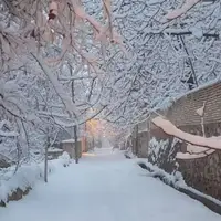 برف و سرما در راه یزد