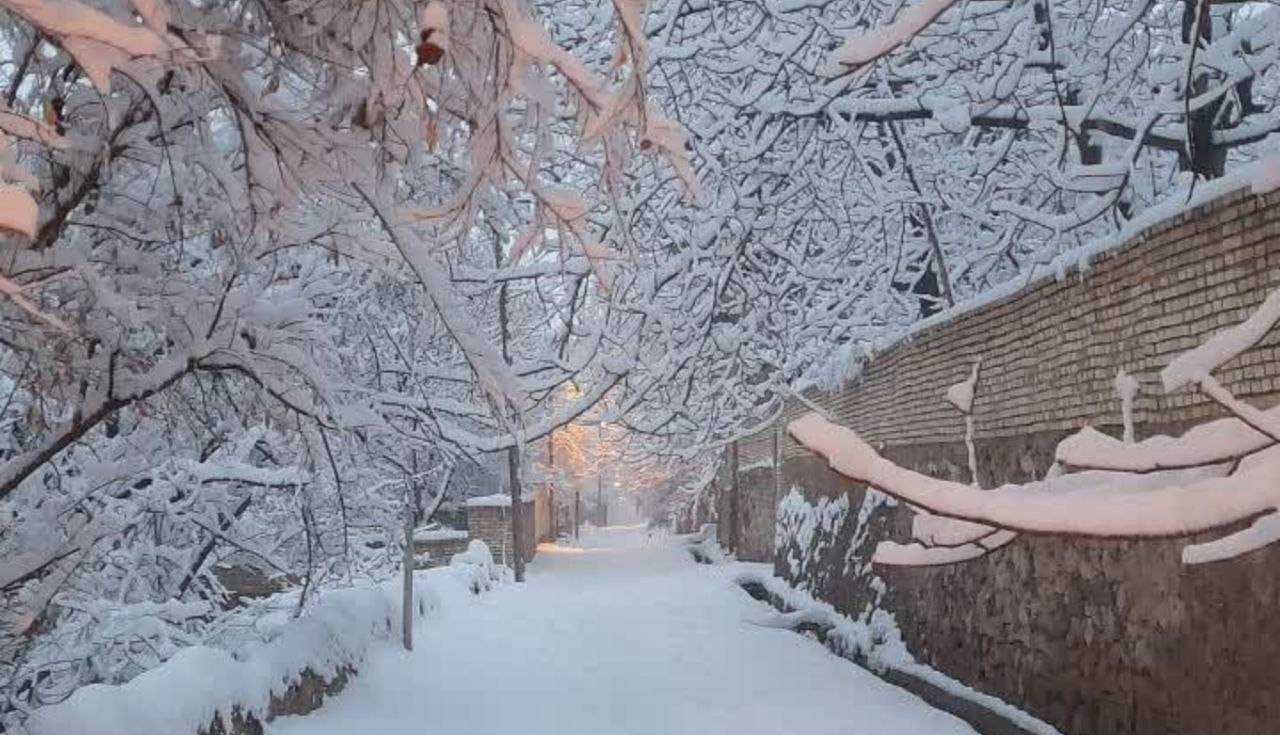 برف و سرما در راه یزد