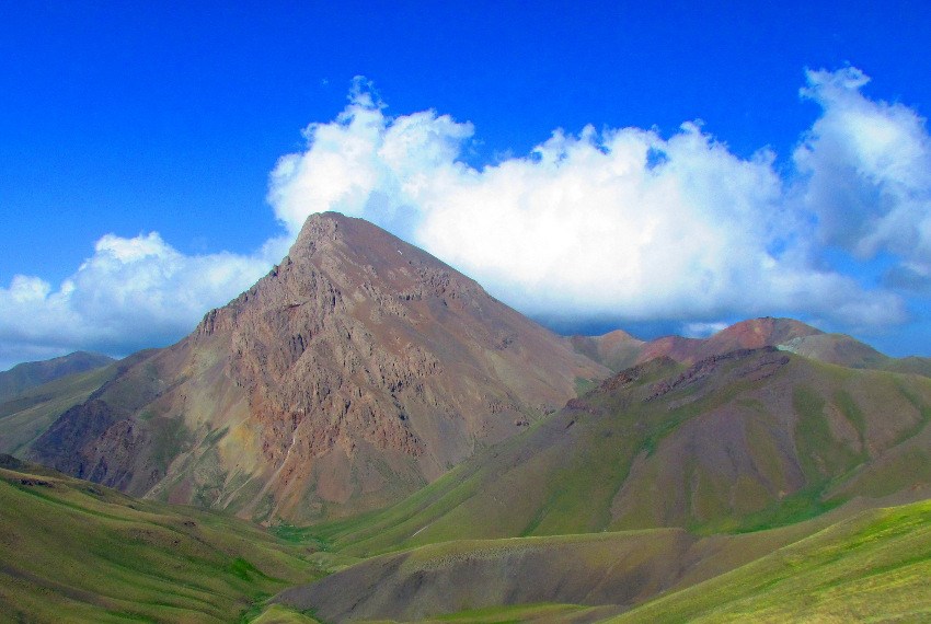 شکوه حیات‌وحش در دل کوهستان‌های البرز