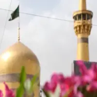 مشهد الرضا غرق در سرور و شادی