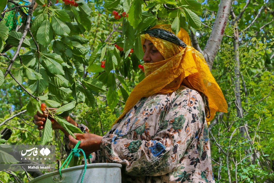 عکس/ مادران و زنان عشایر