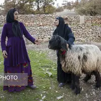 دهستان احمدفداله از توابع شهرستان دزفول