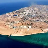 بوموسی میزبان جشنواره فیلم فجر شد