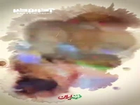 تاثیرگذارترین فرمانده نظامی ایران در سوریه! 