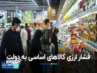 فشار ارزی کالاهای اساسی به دولت