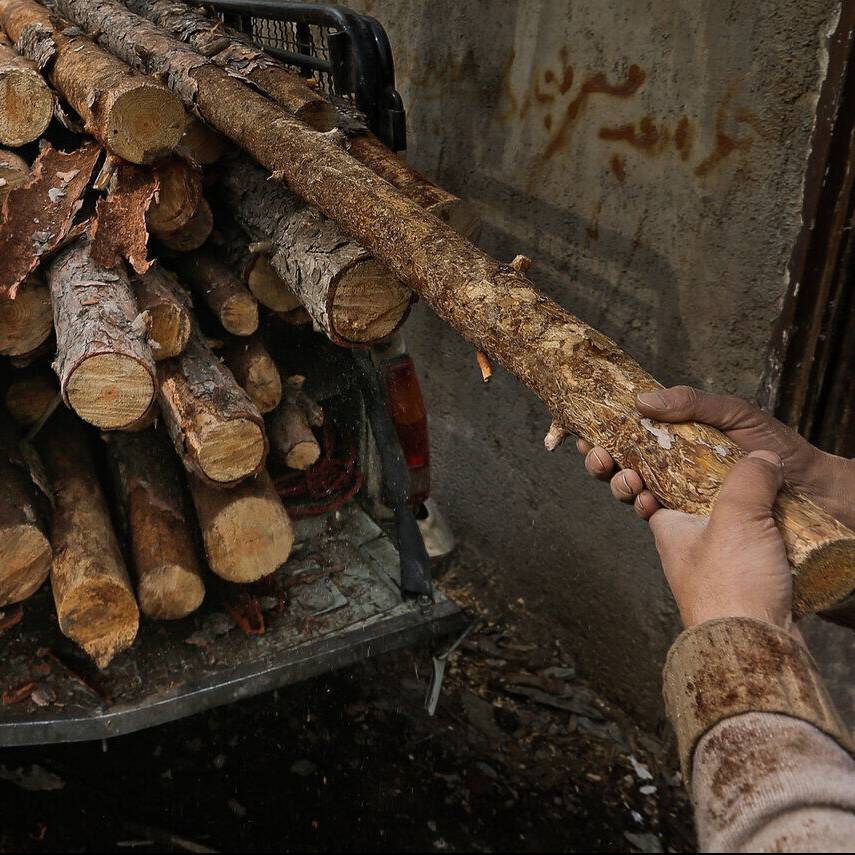 قاچاقچیان چوب در کردستان بیش از ۲۵ میلیارد ریال جریمه شدند