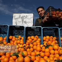 نظارت بر بازار باید میدانی و مستمر باشد