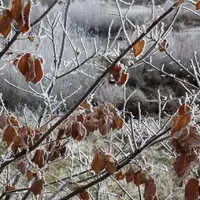 صبح سرد همدانی‌ها با دمای منفی ۹ درجه