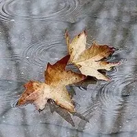 بارش زمستانی در راه مازندران