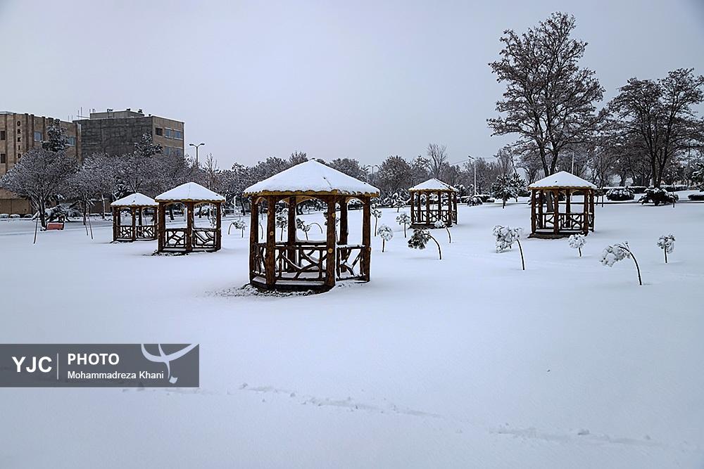 عکس/ بارش برف در استان زنجان