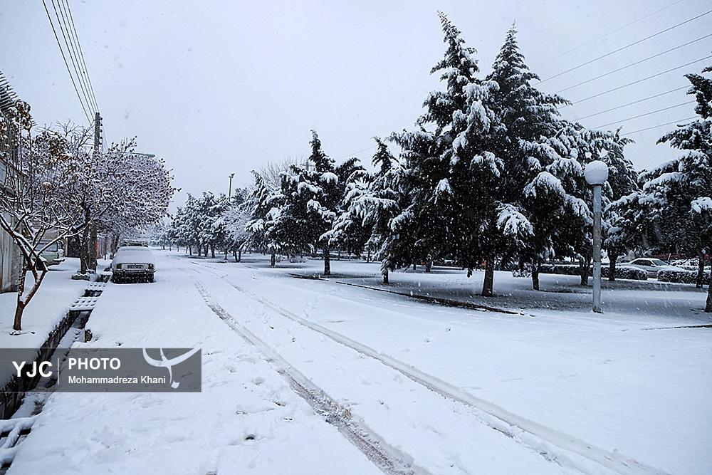 عکس/ بارش برف در استان زنجان