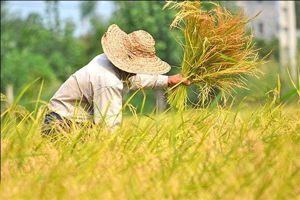 داستانک/ فکر نکن بهتر از خدا، می‌توانی خدایی کنی!