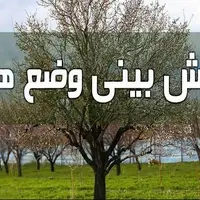 بارش برف در زنجان در اواسط هفته شدت می‌گیرد