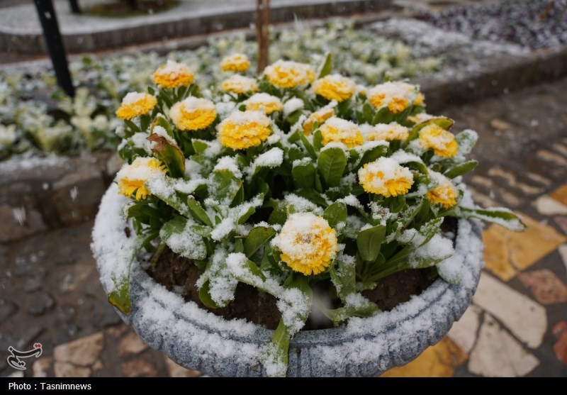 عکس/ نخستین برف زمستانی اصفهان