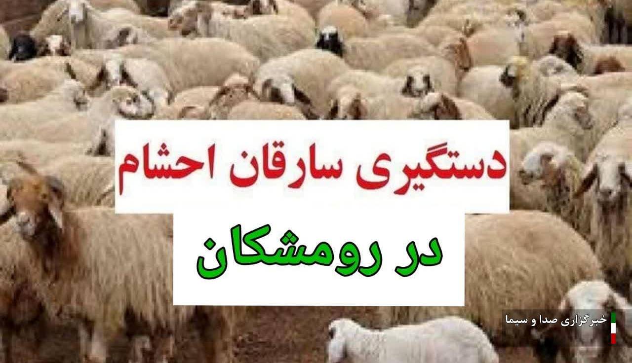 دستگیری سارقان احشام در شهرستان رومشکان