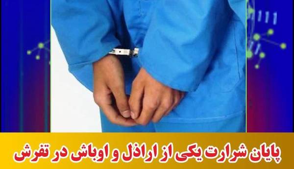 پایان شرارت اراذل و اوباش تفرشی با اقتدار پلیس