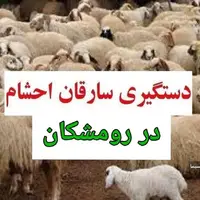 دستگیری سارقان احشام در رومشکان لرستان