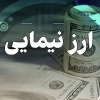 افزایش قیمت دلار توافقی نیما؛ دلارحواله از ۶۶ هزار تومان عبورکرد