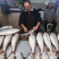 ماهی را هر وقت از بازار گرفتیم گران بود!