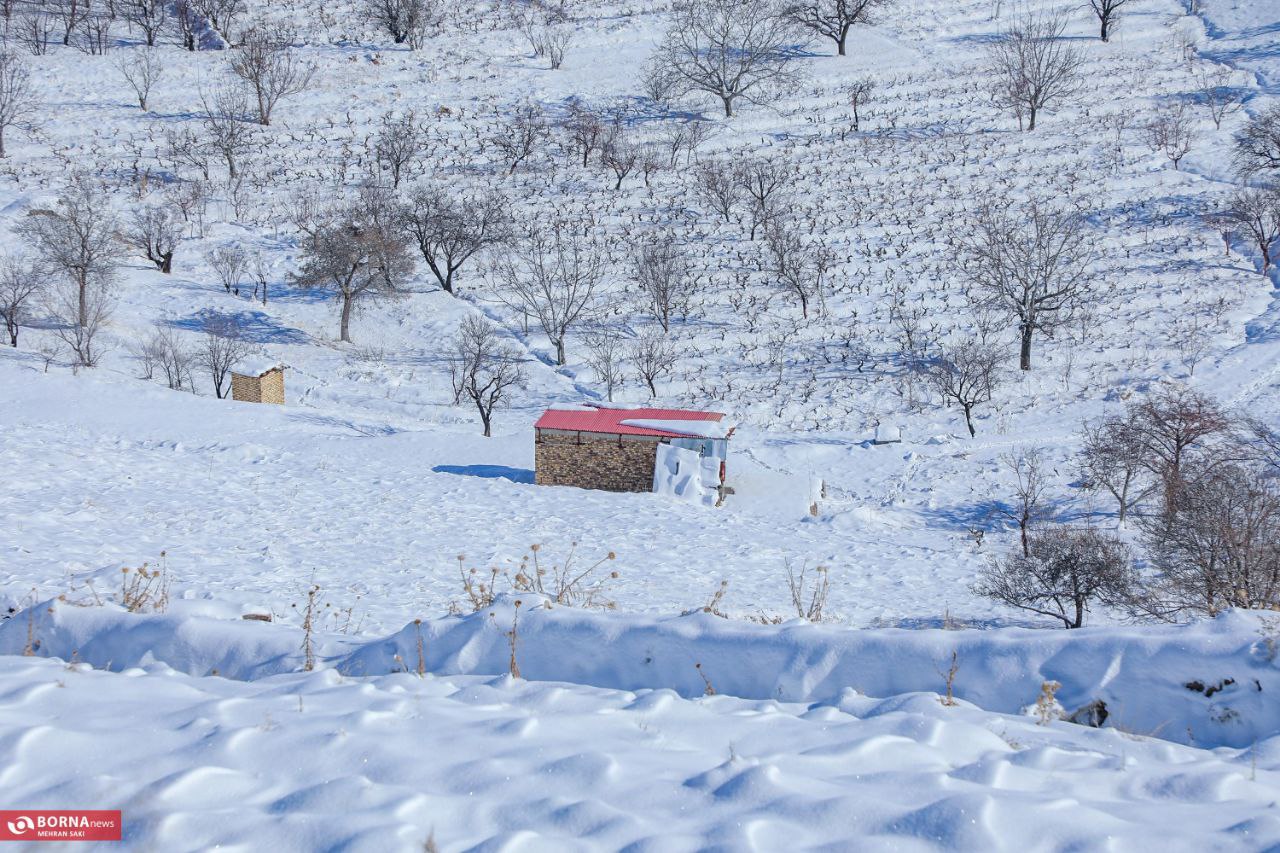 عکس/ طبیعت برفی روستای تاریخی هزاوه