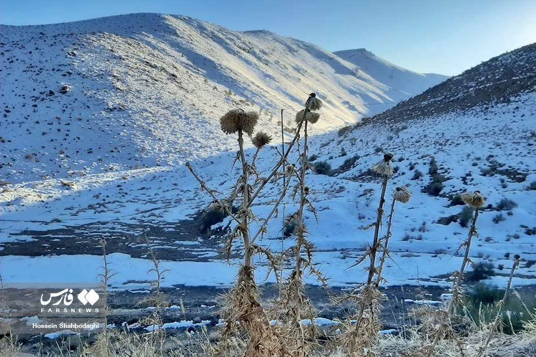 طبیعت برفی روستاهای قم